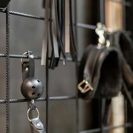Secret Bdsm Apartament *